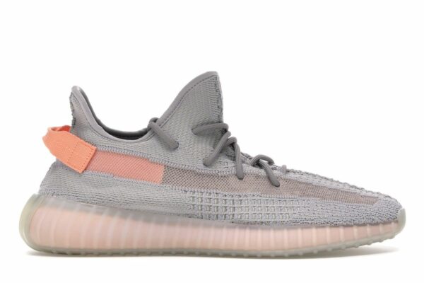 Adidas Yeezy Boost 350 V2 Static True Form (45-47)